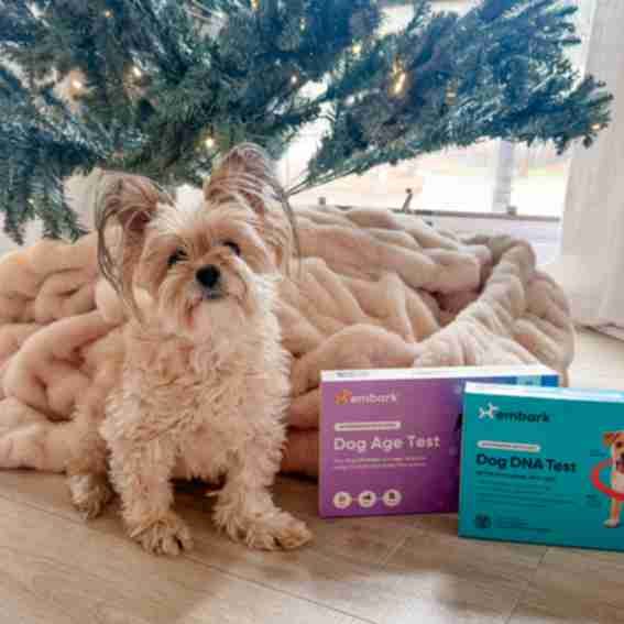 Embark Veterinary, Inc. Reviews