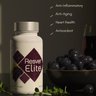 mara-labs.com