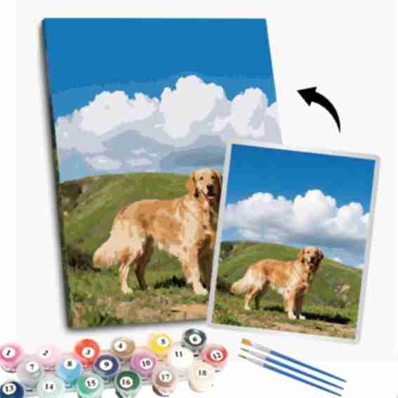 1001Canvas Reviews