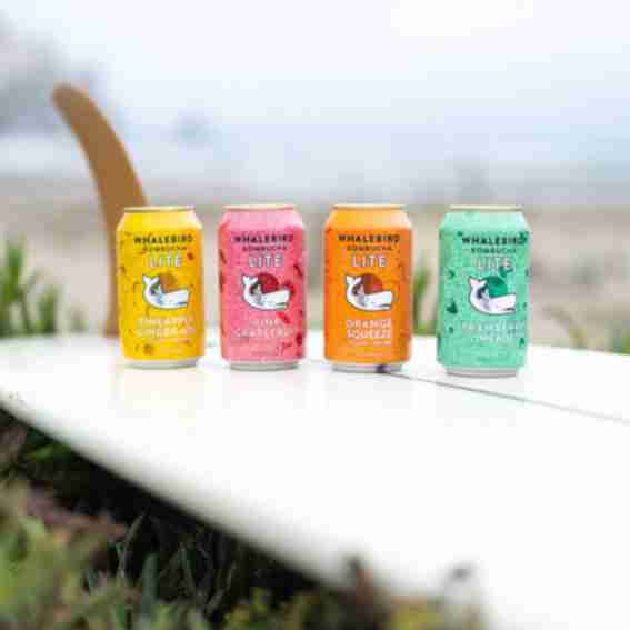 Whalebird Kombucha Reviews