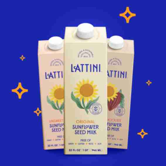 Lattini Reviews