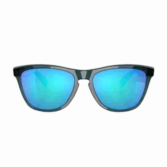 55MM Wayfarer Sunglasses