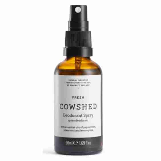 Fresh Deodorant Spray