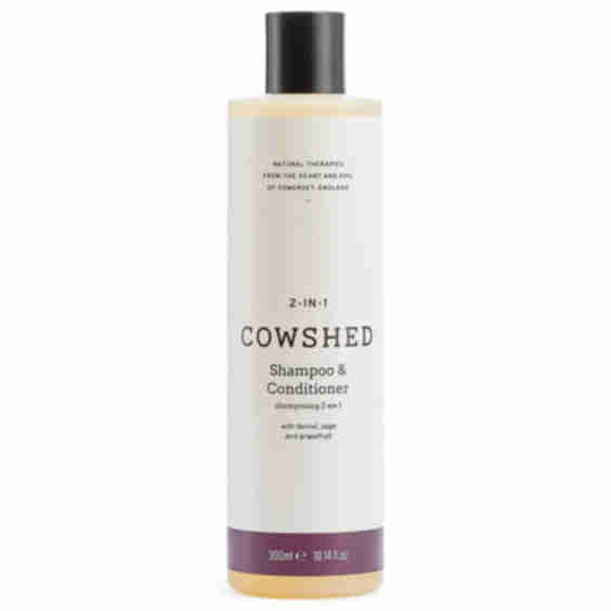 2-In-1 Shampoo & Conditioner