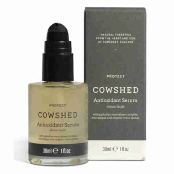 Protect Antioxidant Serum
