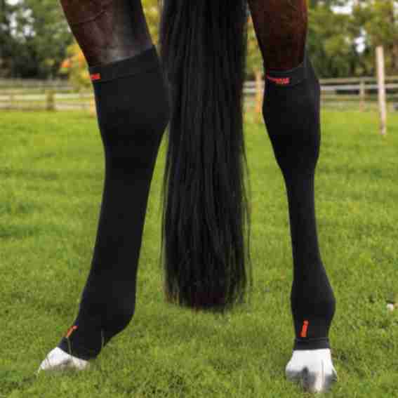 Incrediwear Equine Reviews