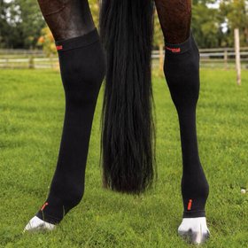 Incrediwear Equine