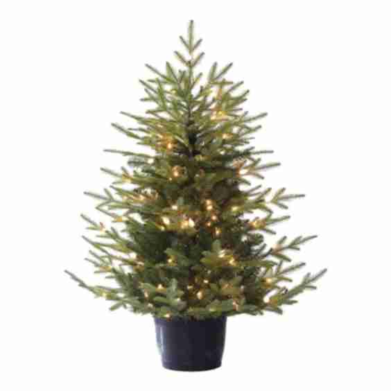 (A32) Pre Lit Bradley Spruce Porch Tree 4'