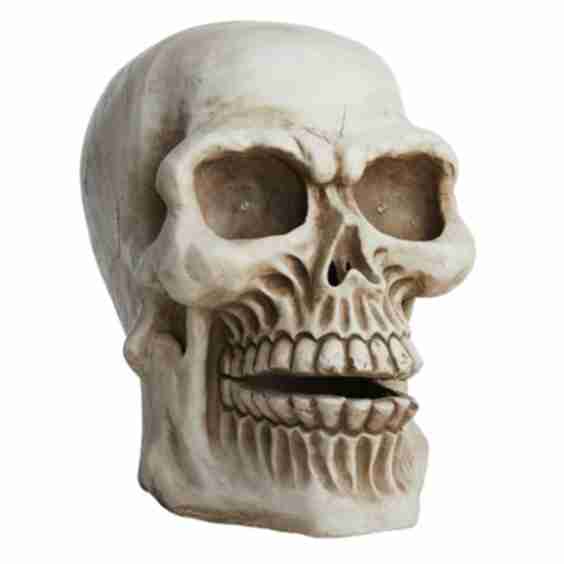 Giant Skull with LED Eyes 25"