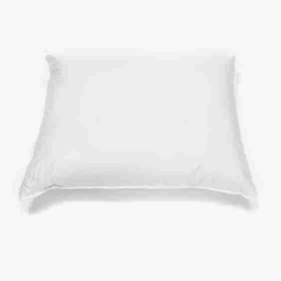 Decorative Pillow Insert