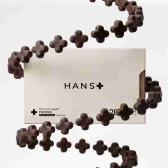 Hans for Dogs Reviews