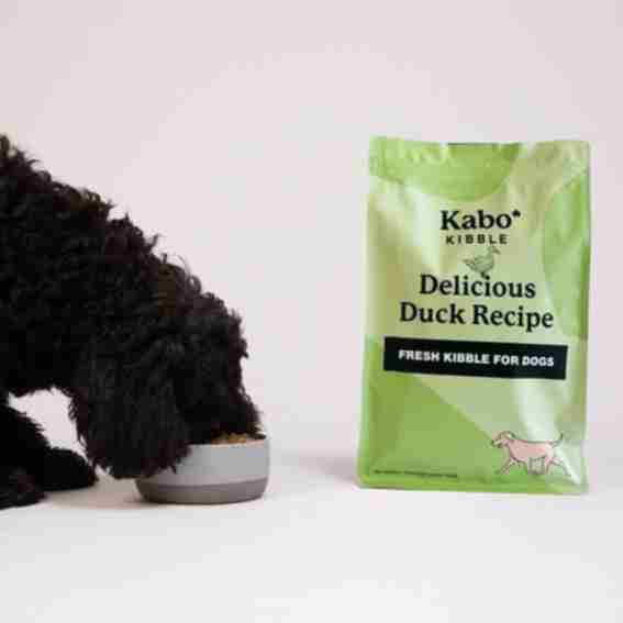 Kabo Reviews