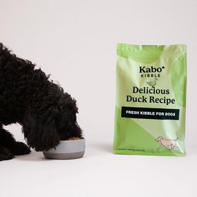 Kabo