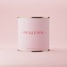 The Pickleson Paint Co.