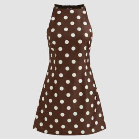 Boat Neck Polka Dot Mini Dress