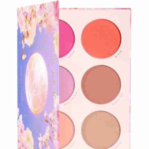 Nude Prism Blush Palette