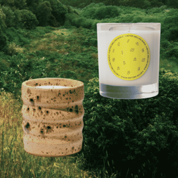 Lemon Crocodile Reviews