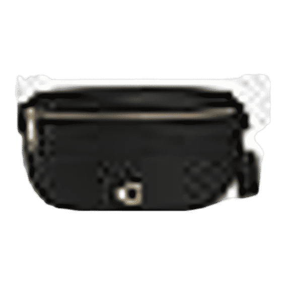 Bethany Belt Bag