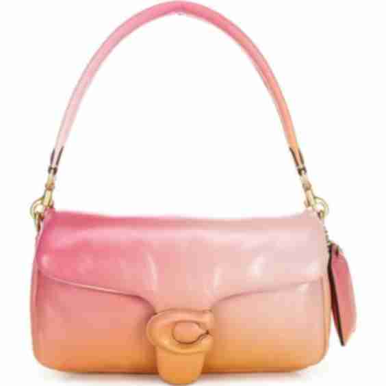Tabby Pillow Leather Shoulder Bag