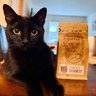 Kitty Town Coffee