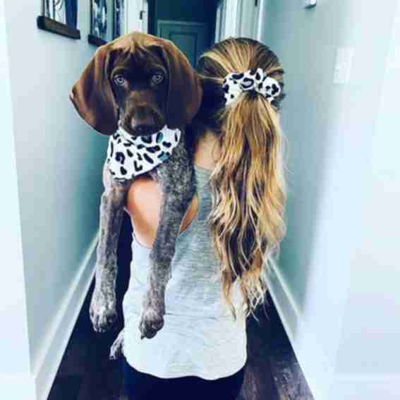 matchymutts Reviews