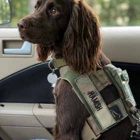 Von Wolf K9