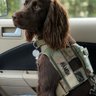 Von Wolf K9