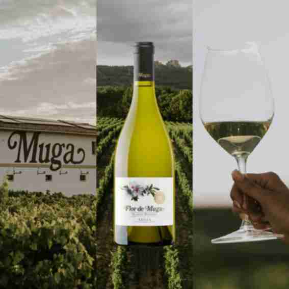 Muga Reviews