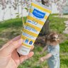 Mustela