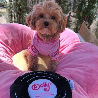 Doggy Parton