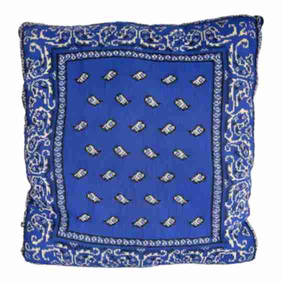 Bandana Pillow
