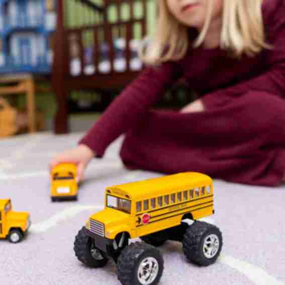 Toysmith Reviews