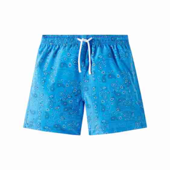 Paisley Printed Swim Trunks