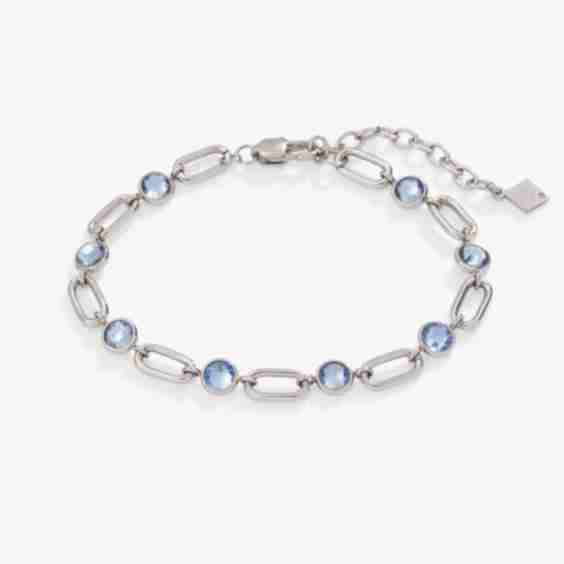 Crystal and Paperclip Adjustable Chain Bracelet