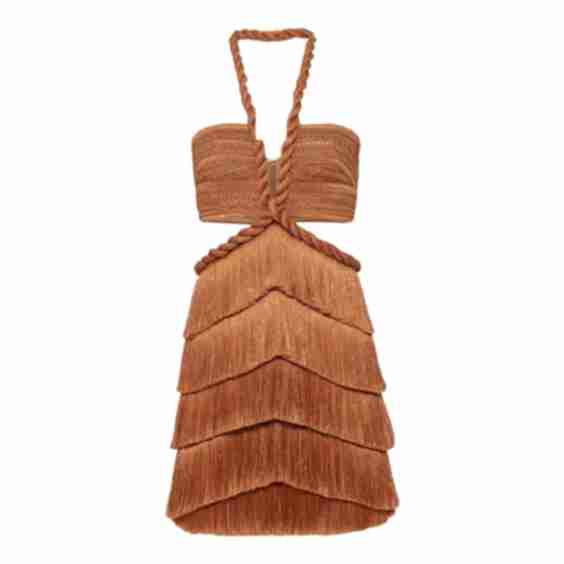 Pampas Fringe Mini Dress
