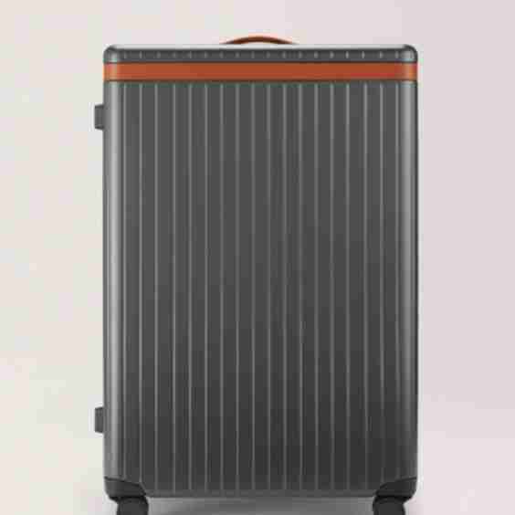 The Large Check-in Suitcase