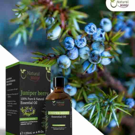 Organic Way Reviews