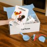 Cat Person