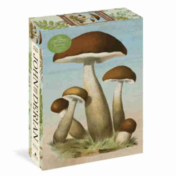Mushrooms 750-Piece Puzzle