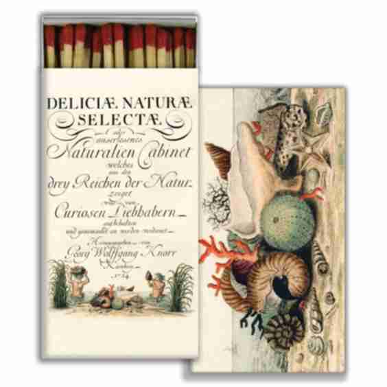 Shells 1775 - Red Matchbox