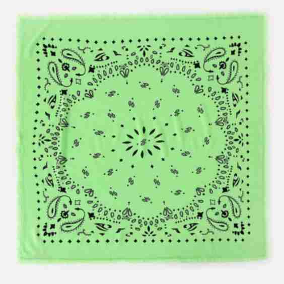 Hachiko Scarf