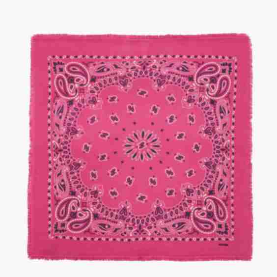 Large Hachiko Bandana