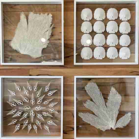 WJC/ Ambler Art Reviews