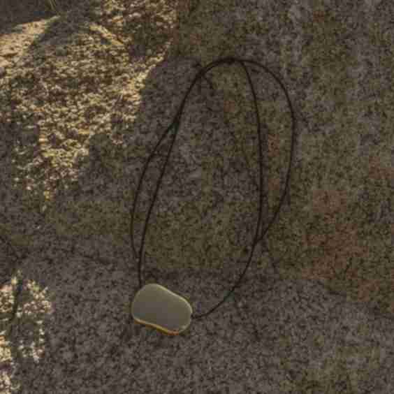 Raquel Organic Gold Plate Leather Necklace