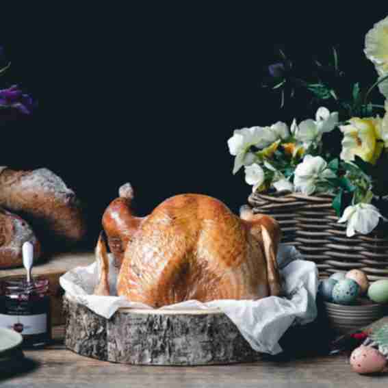 KellyBronze Turkeys Reviews