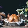 KellyBronze Turkeys
