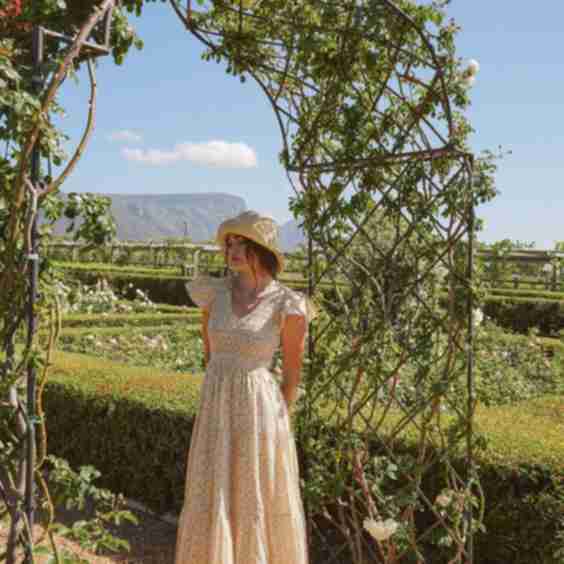 Emilia Day Dress Mayflower
