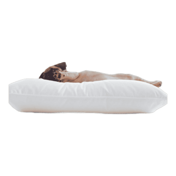 LoftAIRE Down Alternative Pillow Soft Standard