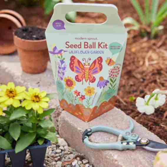 Modern Sprout LLC Reviews