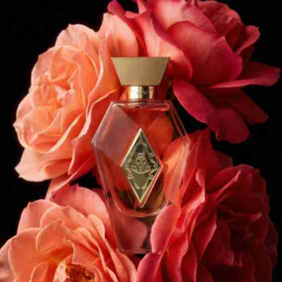 Parfums de Luxe Reviews